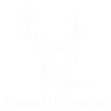 new w logo
